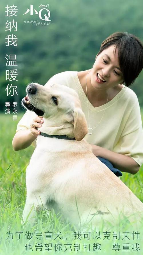 没有不动产权证能过户